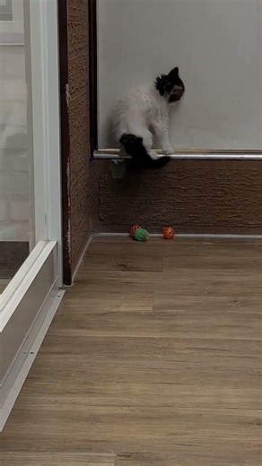 Mom where are you i'am hungery