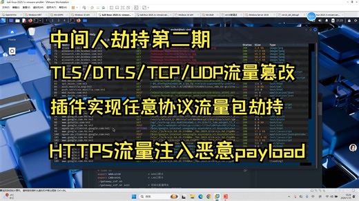 中间人攻击（TLS/DTLS/TCP/UDP）流量篡改，注入恶意payload