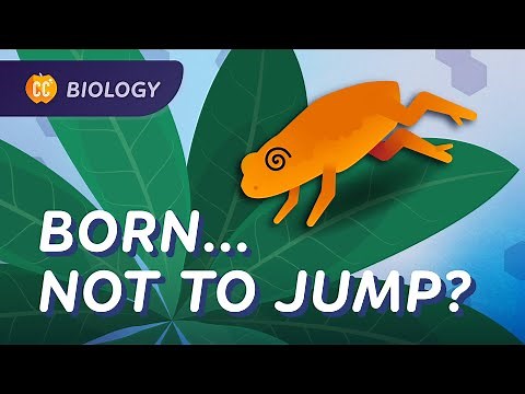 Animal Behavior: Why This Toad Is Bad at Jumping: Crash Course Biology #49