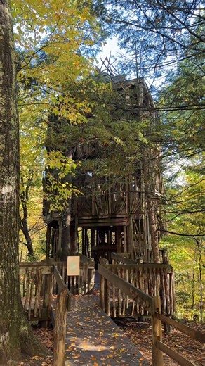 26K views · 355 reactions | Have you ever heard of New York's hidden six-story treehouse? This gem is just minutes from Ithaca at the Cayuga Nature Center. Nearby, you'll find Taughannock Falls State Park and Museum of the Earth at the Paleontological Research Institution — making it the perfect spot on your next Finger Lakes adventure. Cayuga Nature Center TreeTops | Visit Ithaca | Facebook