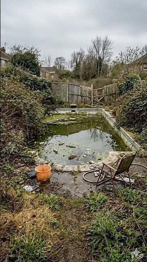 Shocking Green Pool ➡️ Backyard Utopia! 🤯 #gardening #permaculture #urbanfarming #backyardgarden