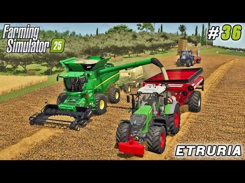 One Pass, Two Jobs: Harvesting Grain While Baling Straw! | Farming simulator 25 | Etruria Farm | #36