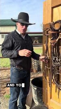 Why not start a horse in a long shank bit? 🐴