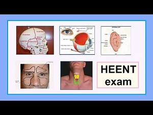 HEENT exam