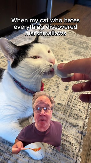 Melon's Marshmallow Madness