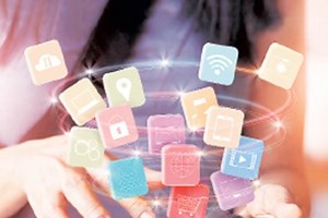 Internet growth covers entire country, but it is not homogenous