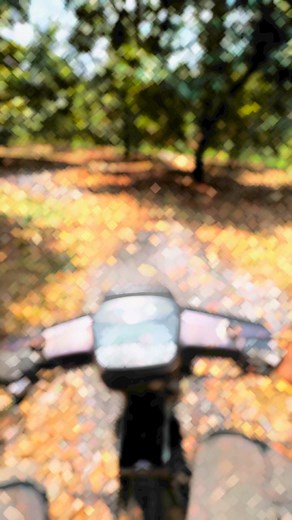 Cập nhập tình hình bông sầu riêng … sau khoảng gần 40 ngày sẽ như thế nào các bác …?🥰 #47daklak | Phạm Quý