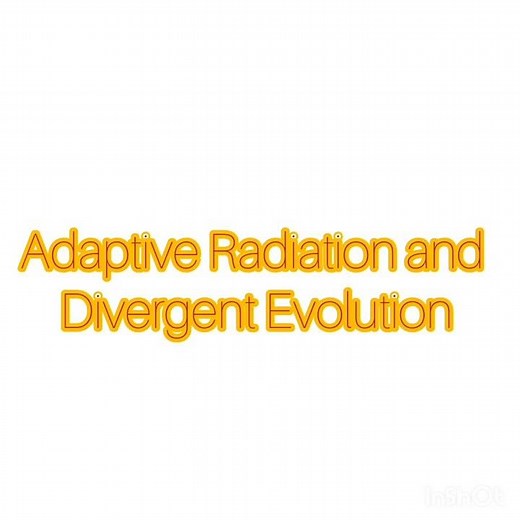 Adaptive Radiation and Divergent Evolution ‪@AnthropologyInsightsforUPSCNET‬