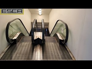 NEXT21 エスカレーター 19F-18F 三菱 Mitsubishi Escalator