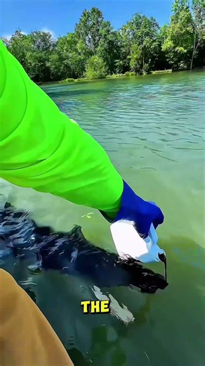 Why Do People Turn Lakes Bright Blue? 😱 #usa #facts #america United States
