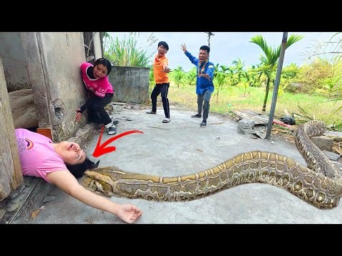 Brave Experts Rescue Ethnic Girl Attacked By Anaconda In Abandoned House