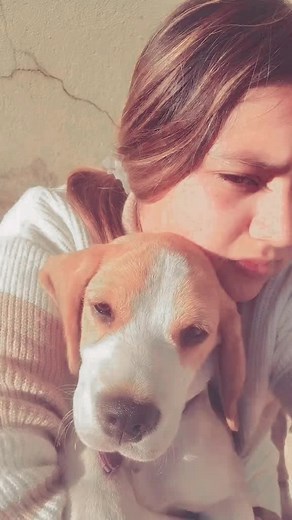 Dog do speak but only to those who know how to listen . ♡♡