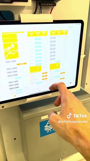 Maintaining a 2000 Gallon Custom Aquarium in Los Angeles