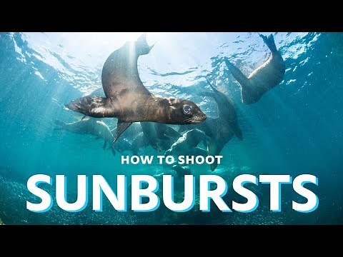 How to Shoot Sunbursts Underwater
