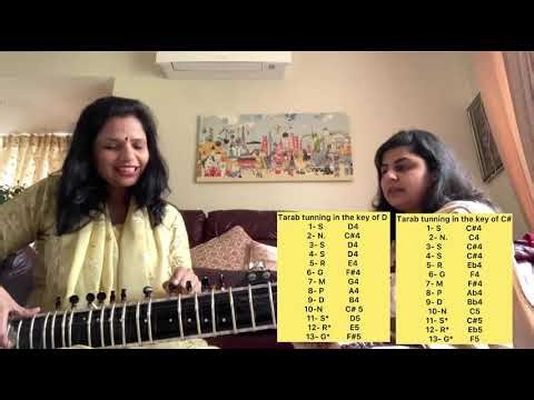 Learn how to tune a Sitar main strings, Tarab strings and Fret setting with Dr. Shantanu Sharma.
