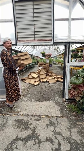 4: Stack ‘Em High Count & Ring – Box-folding beasts assemble 💪�In Stack ‘Em High, it’s a race to fold and deliver 7 carry-out boxes into the greenhouse.�Not videoed: Count & Ring.�One team. One register. One chaotic wagon of soil and seedlings.�Speed, accuracy, and pure garden center chaos�#CountAndRing #StackEmHigh #RetailAthletes #BrawleySeedCo #GardenCenterLife | Brawley Seed Co. & Garden Center