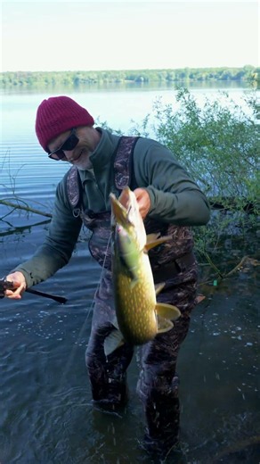 Catch monster pike with swimbaits and the right tackle!