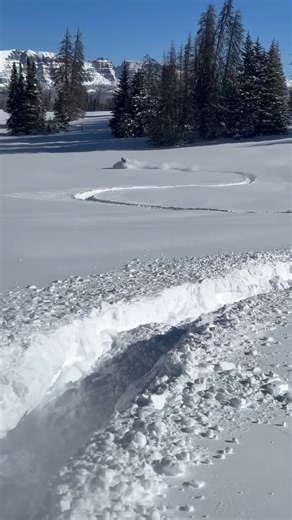 ❄️ Our guide Olivia is taking winter exploration to the next level, carving her path through the untouched powder. #braaap | Togwotee Mountain Lodge