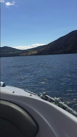📍Lake Chelan, Washington #boat #water #travel