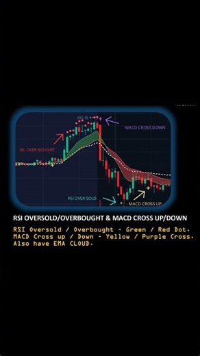 Best Webull Custom Indicators for Options Trading (FREE Toolkit)