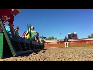 Wiener Dog Racing at New Orleans Fair Grounds