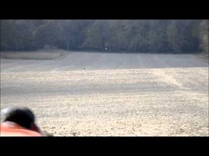 Tracers - .308 Win bolt action in Daylight