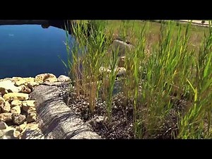 Piscine naturelle tuto