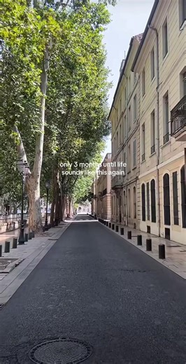 Embracing Spring: A Season of Joy