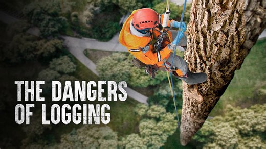 How to stay safe in the deadliest jobs around the world