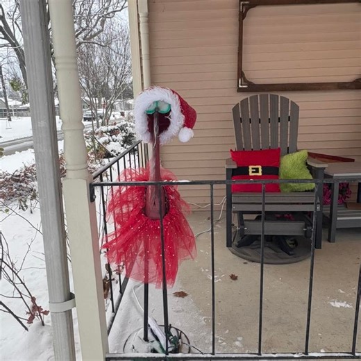 This is Madeira Island | I hope you enjoy this 4k walk through Calheta beach and marina: | Facebook