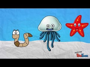 Science - La classification des animaux - EB4