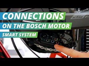 Connections on the Bosch Smart System | EBIKE24