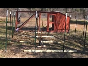 How to build a hawk proof chicken run, part 2/3