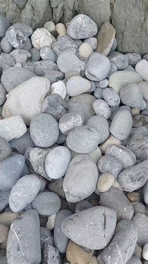 An awesome suspected plesiosaur vertebra cross-section | Mamlambo