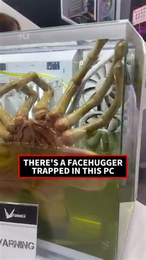 20K views · 503 reactions | Time for a HUG: #facehugger | Sigourney Weaver Fanspage | Facebook