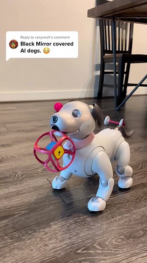 Robotic Dogs Interaction: A Fun Puppy Playdate