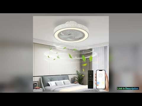2 in 1 Modern Smart Ceiling Fan with Light Remote Control LED Dimmable 6 Speeds Timer Flush Mount