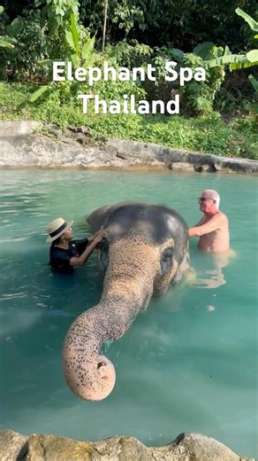 Helping Wash a Rescued Elephant in Thailand 🐘