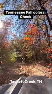 Tennessee fall colors #TheBeatenTrail #TheBeatenTrailLLC | The Beaten Trail
