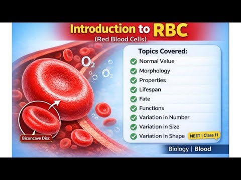 Introduction to RBC (Red Blood Cells) | Structure, Function & Variations | NEET Biology