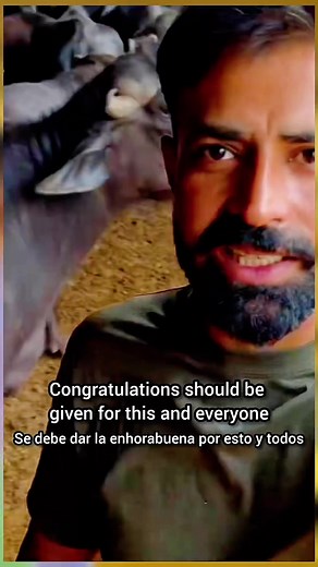 Waqar Bhinder Dairy Farm Vlog: Inside a Modern Dairy Farmer’s Day