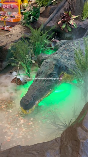 👧🤱👰🦹🤸👩👵 #Ontariomills #Rainforestcafe #IE #ifyouknowyouknow | Ontario Mills