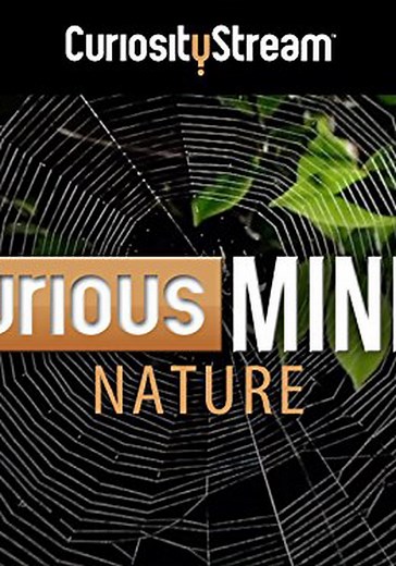 Curious Minds: Animals - streaming tv show online