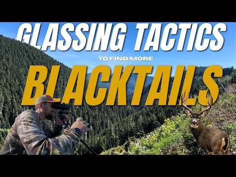 How To Find More Blacktails This Hunting Season
