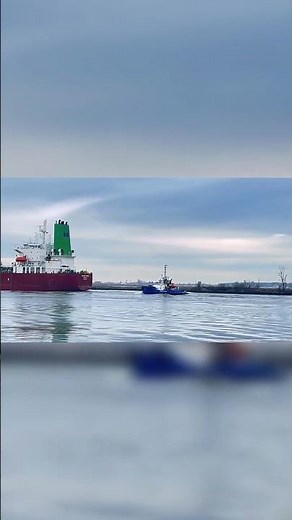 Tugboats vs Massive Cargo Ships: How They Work Together #MarineTech #Teamwork