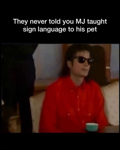 Crazy Facts Corner on Instagram: "They never told you MJ taught sign language to his pet, and the proof is in this adorable 1987 photo. It's a heartwarming glimpse into the iconic musician's unique bond with his constant companion. Michael Jackson's pet chimpanzee, Bubbles, was trained to understand basic sign language commands, including the "sit" command, with the help of animal trainers. Jackson even used sign language to communicate and bond with Bubbles, taking him on tours and including hi
