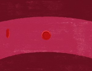 TED Ed – Why do blood types matter? - Natalie S. Hodge - Brad Purnell