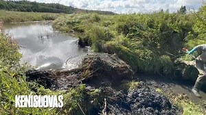 144K views · 1.9K reactions | That was Close Collapse! #BeaverDamCollapse #CaughtOnCamera #WildNature #WaterForce #SatisfyingVideo #ViralReels #NaturePower #OutdoorAdventure #beaverdam #meditation | Kenislovas | Facebook