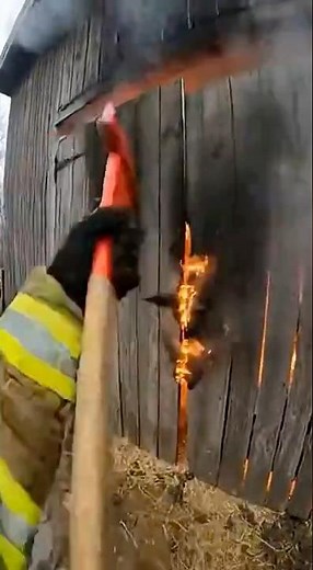 Firefighter Opens Burning Barn — What Happens Next Is Unreal
