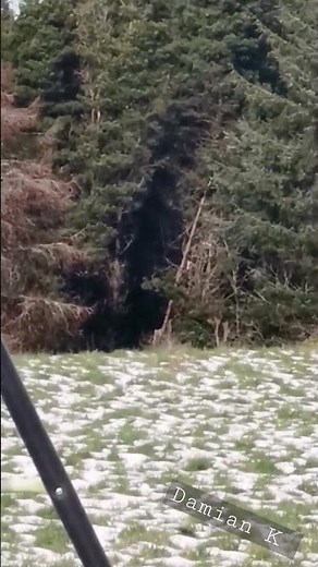 thinker thunker how high is it?